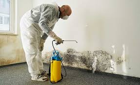 Best Attic Mold Removal  in Haskell, OK